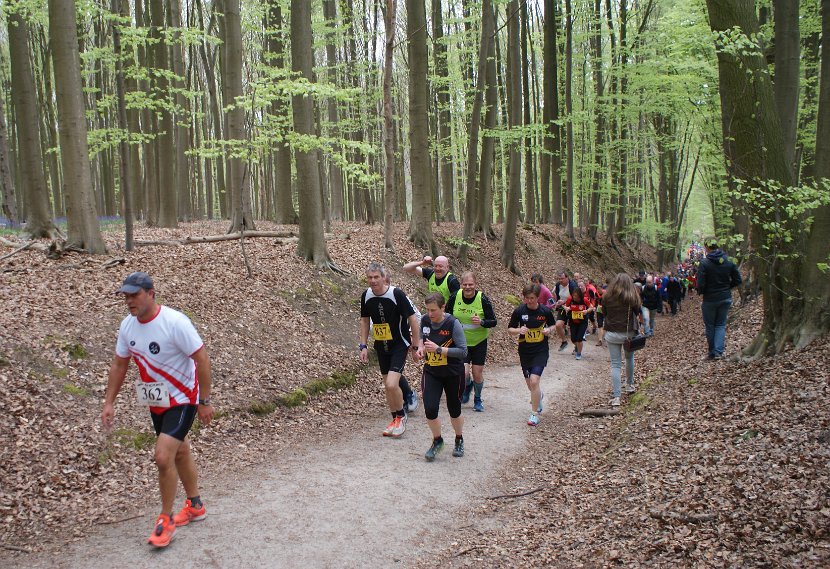Hyacintenjogging 2016 - 136